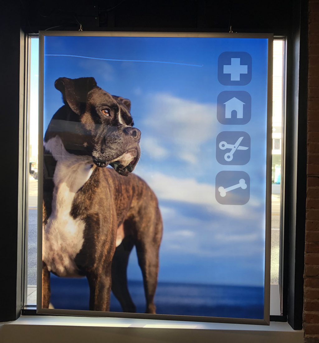 Pet Store Double Sided Snap Frame